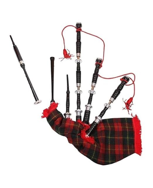 Bagpiper Instruments Price